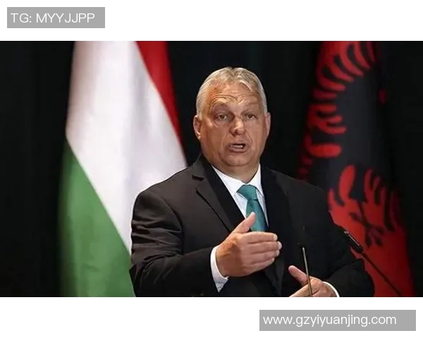 专访李丽：探寻她在篮球领域取得成功的秘诀与心路历程