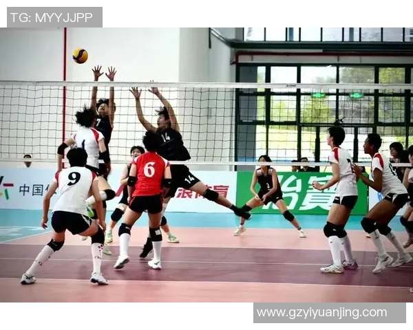 排球技术排行榜：上海排球队位居第3名