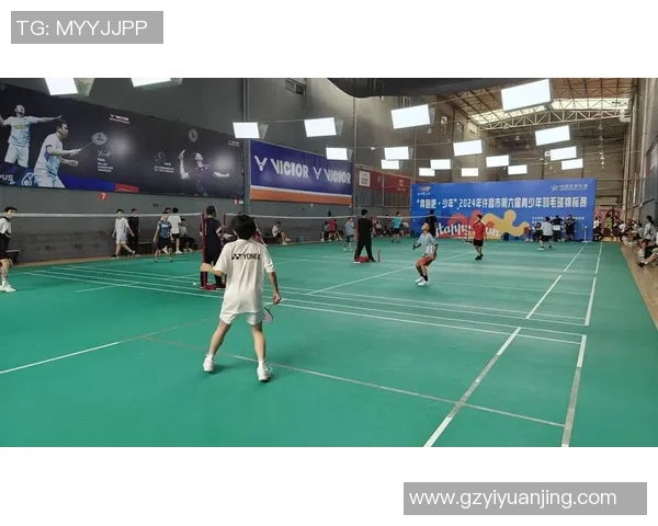 羽毛球热议成都羽毛球队技术争议引发广泛讨论与思考